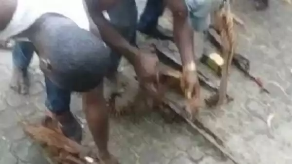 Omg! Shocked Police Officers Discover Large Caches of Arms Hidden in FESTAC, Lagos